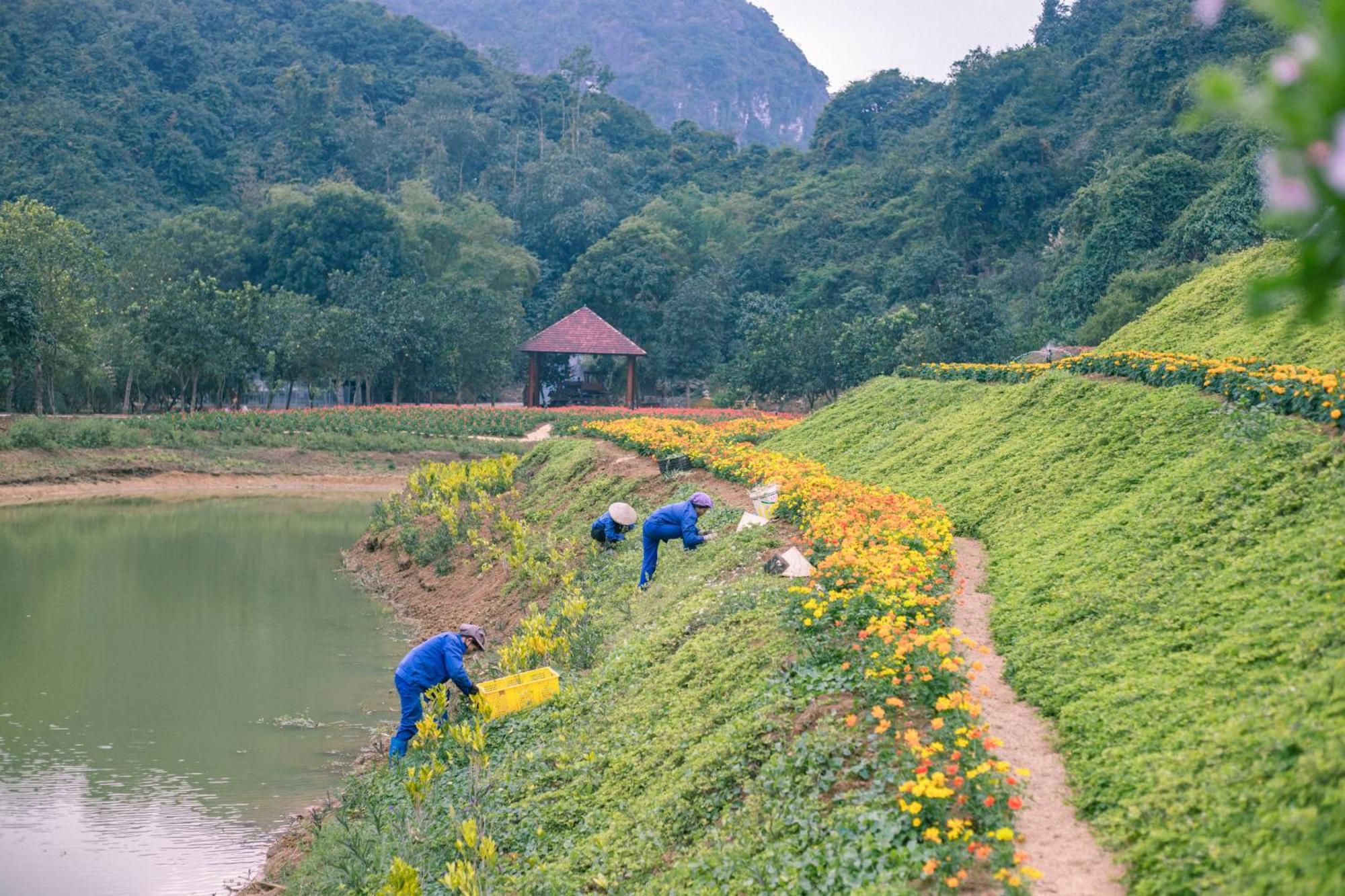 Thung Nham Resort Ninh Binh Exteriér fotografie