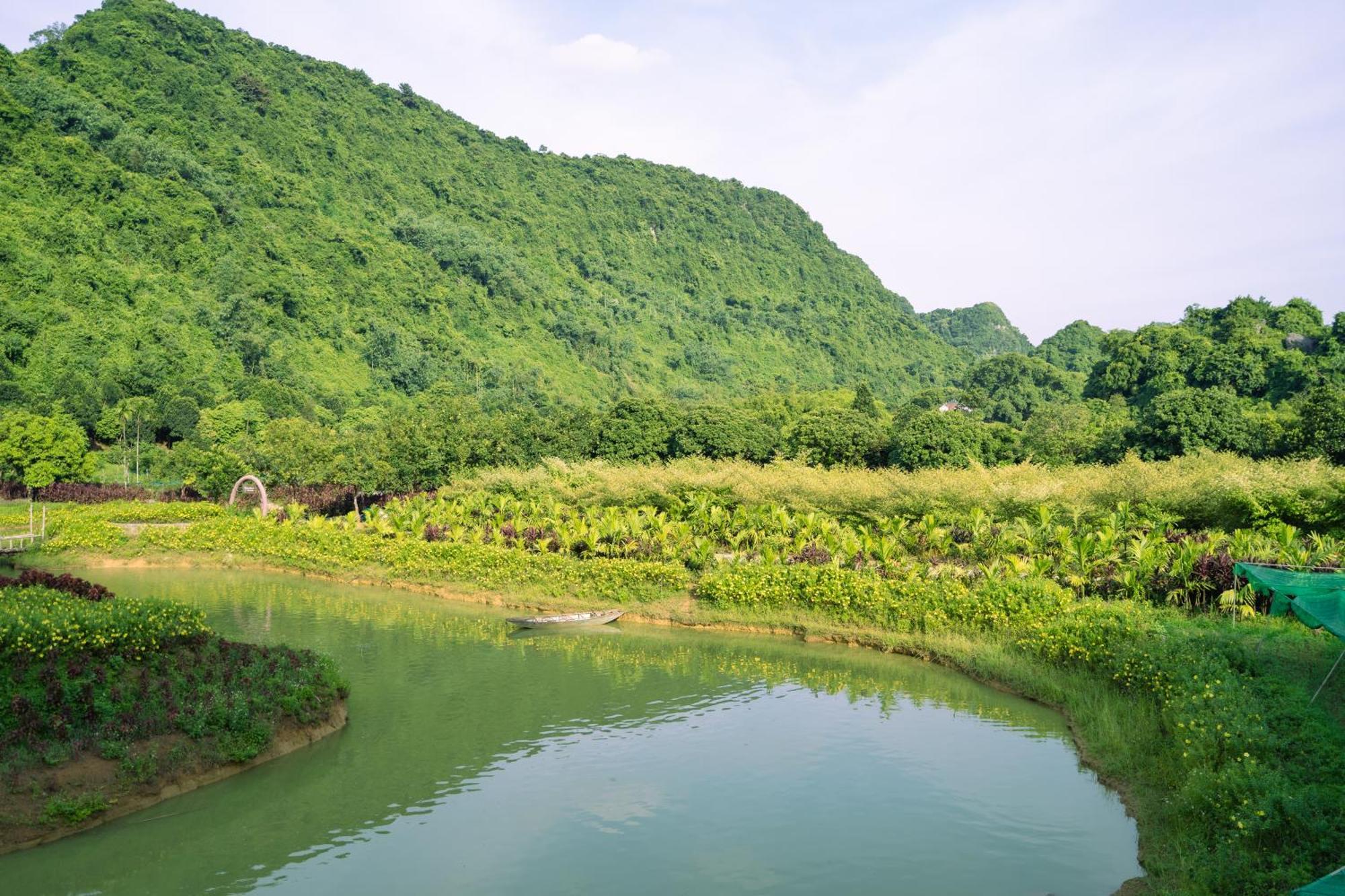 Thung Nham Resort Ninh Binh Exteriér fotografie